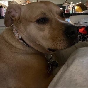 Meet your Posher, Cynthia